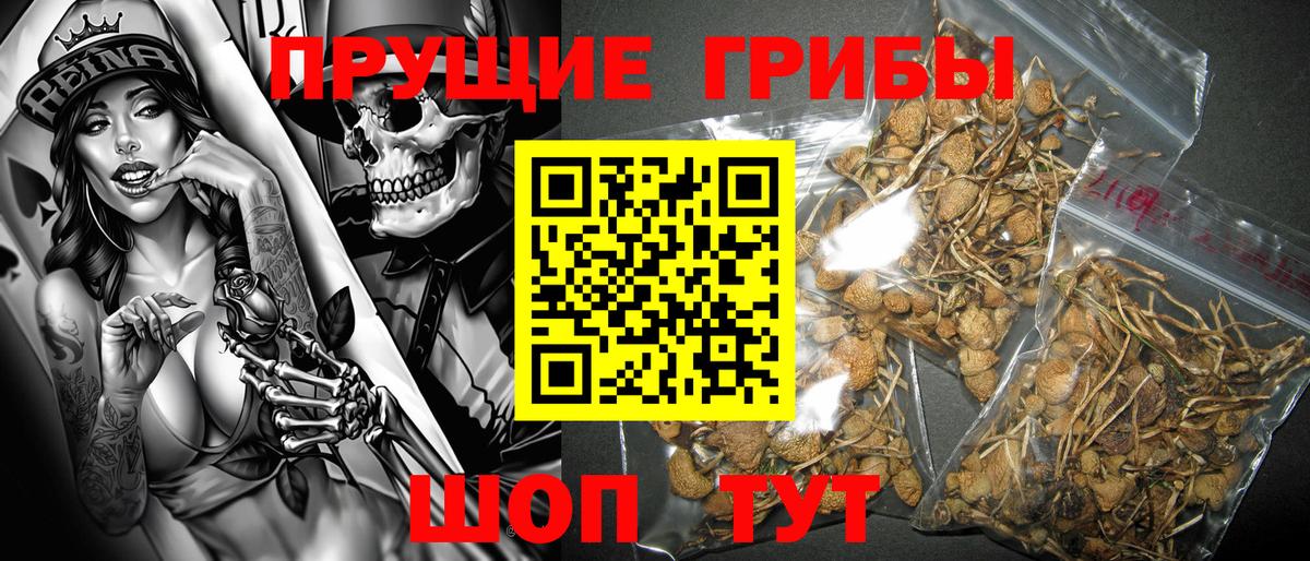 Галлюциногенные грибы прущие грибы  Вход с VPN  Сосновоборск 