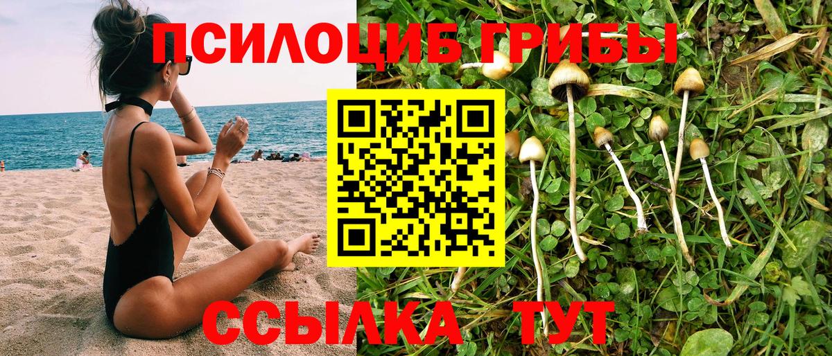 Галлюциногенные грибы GOLDEN TEACHER Сосновоборск
